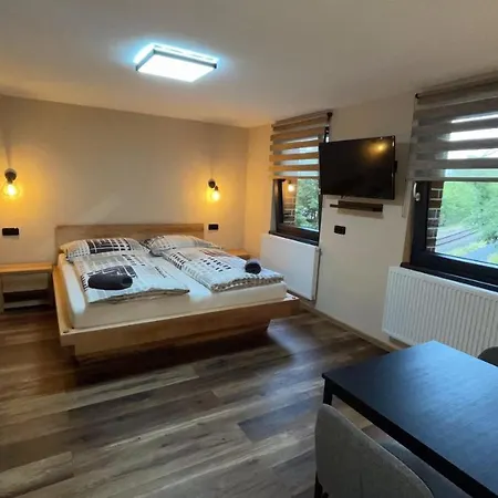 Homestay Penzion Loket *