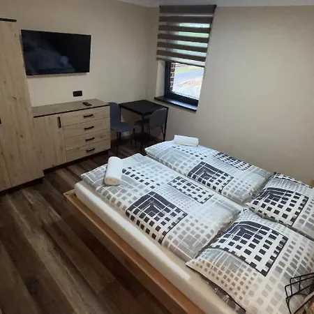 Penzion Loket Homestay *