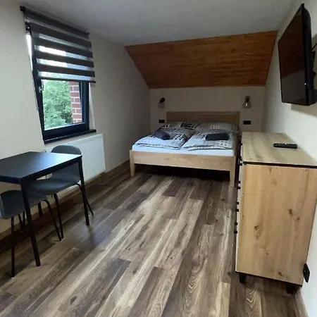 Homestay Penzion Loket Loket